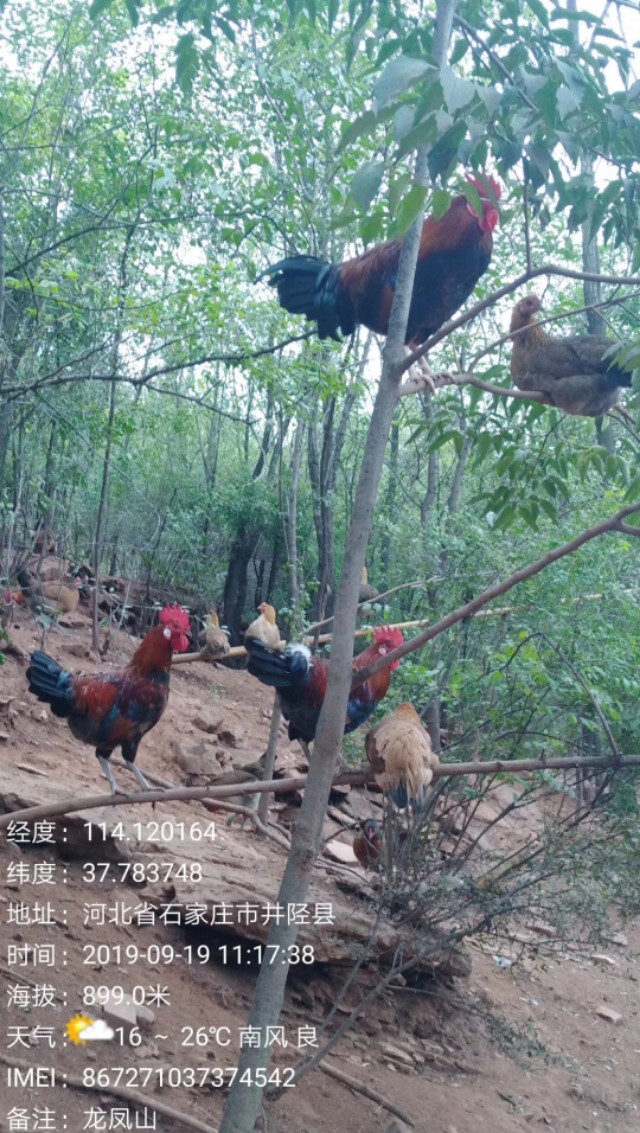 大可老师合集,大可老师讲座