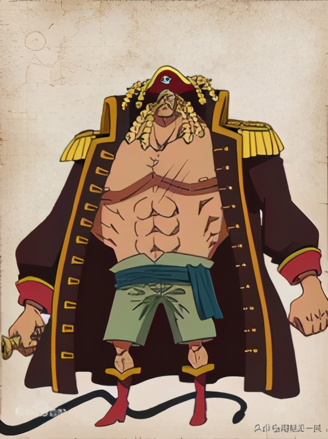 海贼王草帽大船团成员,海贼王草帽大船团所有队长的图片