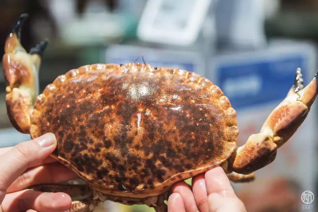 双十一不乱买攻略我的反剁手清单,大牌双十一优惠