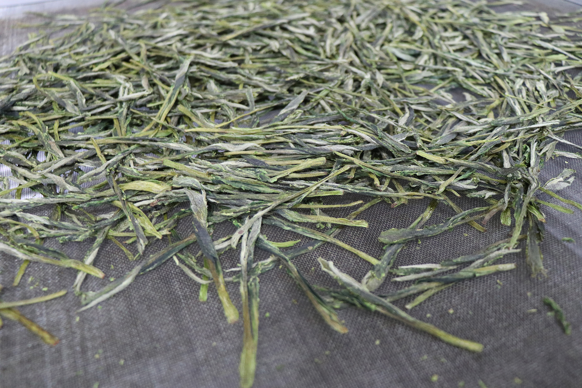 2019太平猴魁正式开园采摘！目前品牌价值已达26.44亿