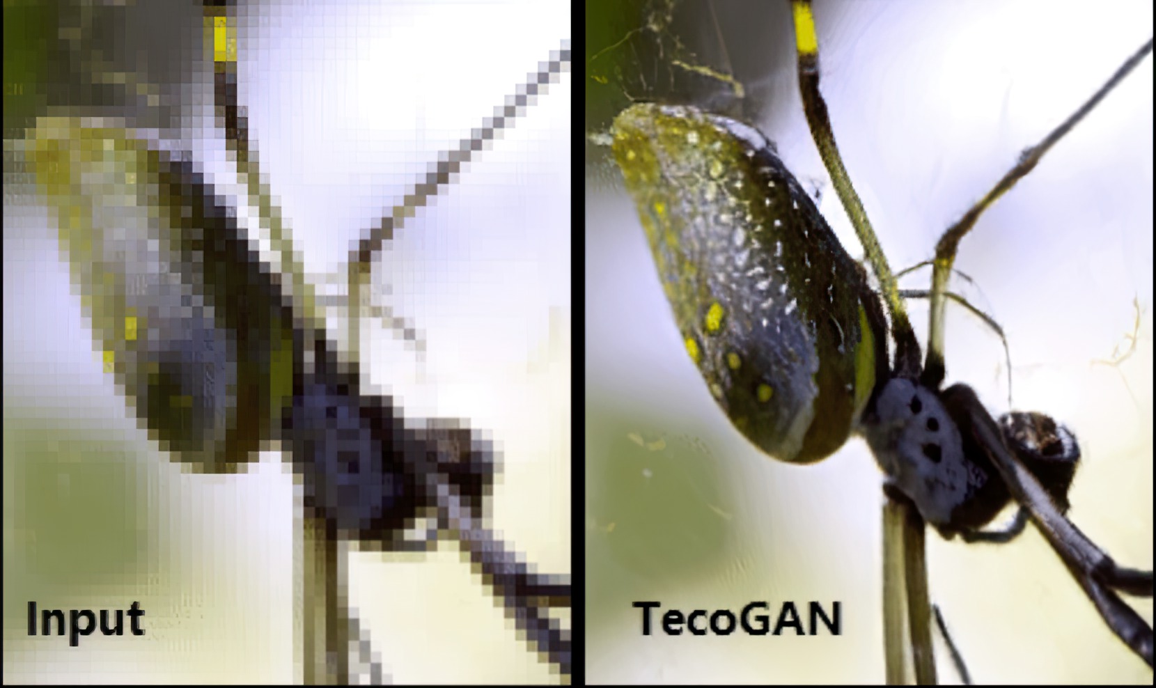 被打了马赛克的视频怎么恢复,视频马赛克能被还原吗