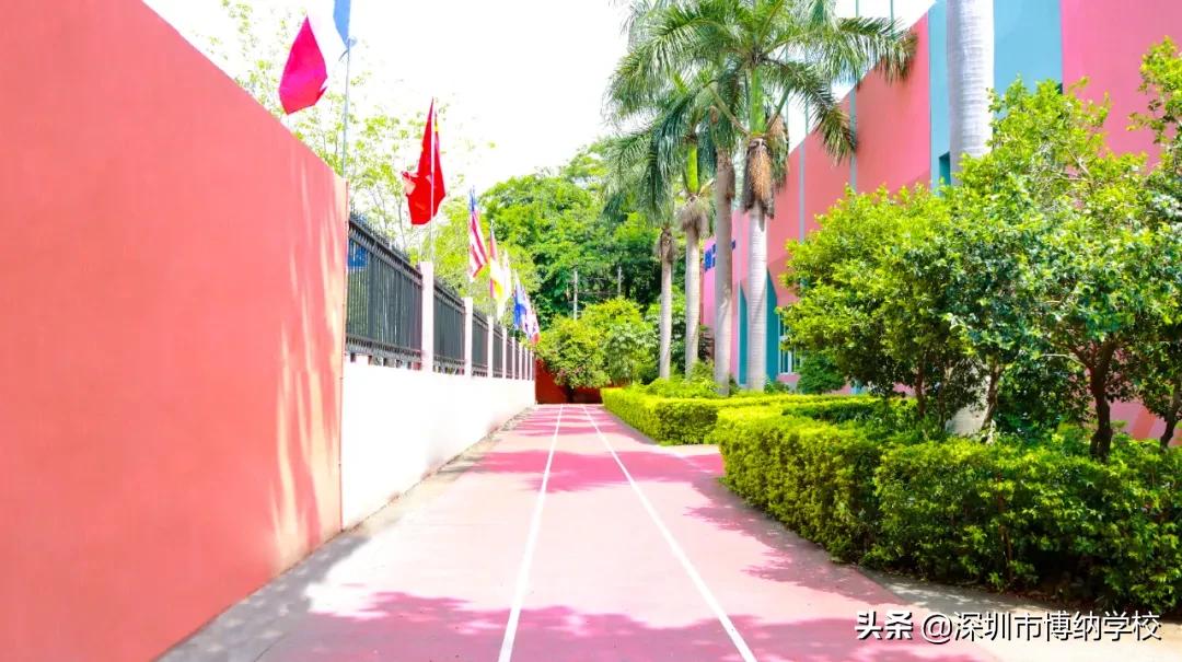 深圳南山这所宝藏国际学校，带你去打卡