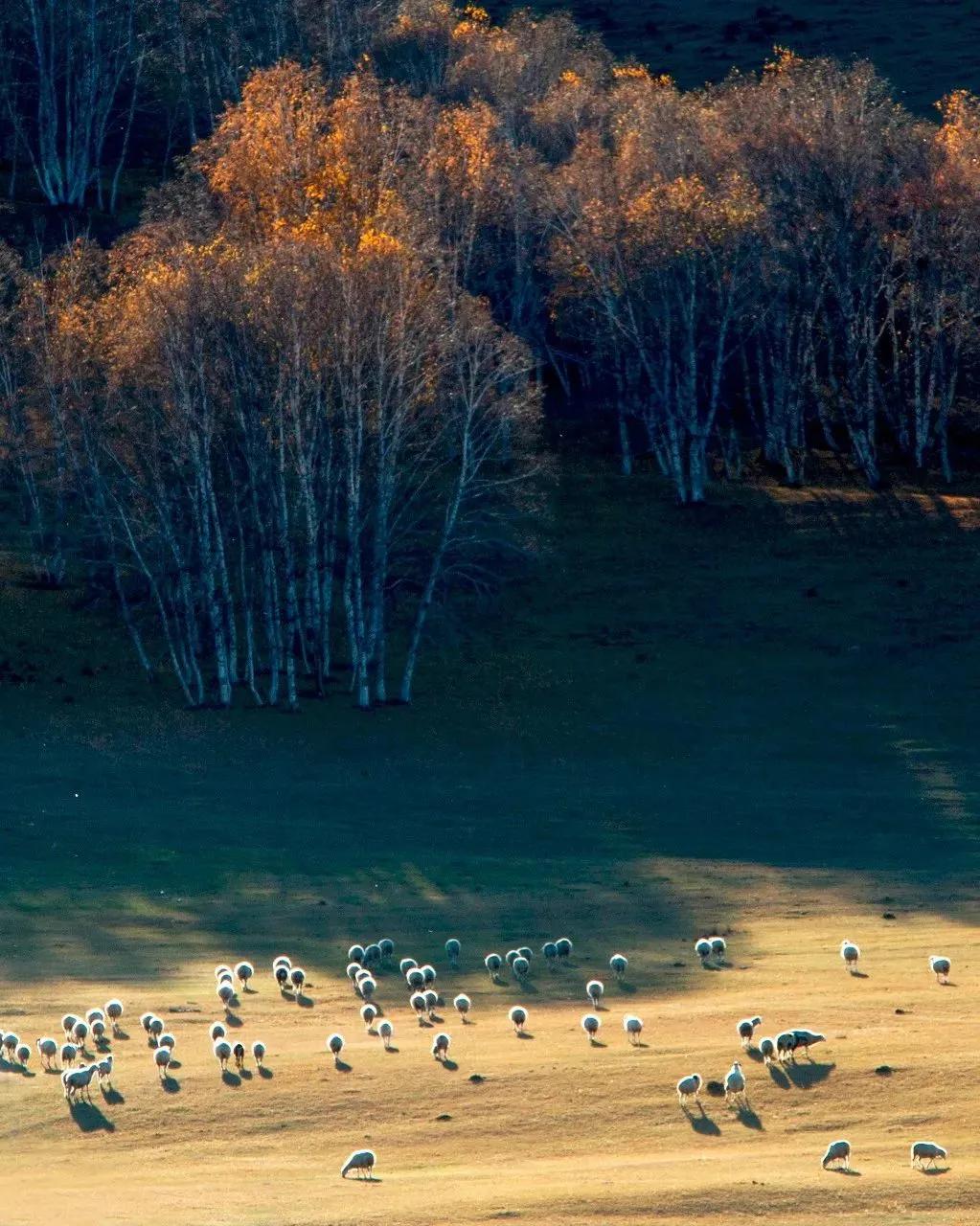 14浜夸汉鍏虫敞鍞愬北,鍗佸洓浜垮浗浜哄叧蹇冪殑闂