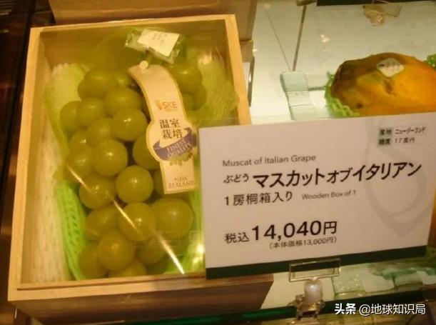 日本西瓜200人民币一个?这背后不为人知的是……|地球知识局