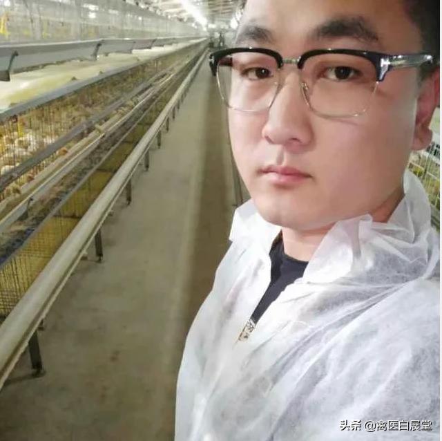 养殖场养鸡球虫如何根治,养鸡球虫反复发病怎么办