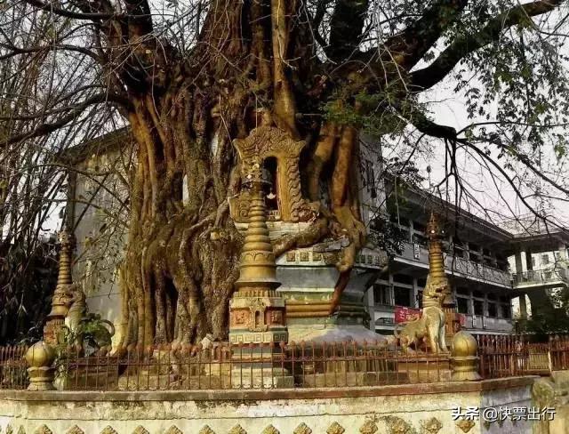 云南十大红色旅游景点都有哪些,云南西双版纳有哪些景点值得去玩