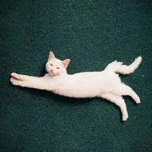 怎样取微信号好听又有意义男生,微信号简短好听有意义