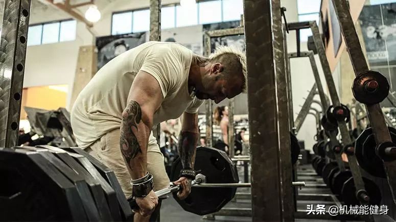 健身美背小背心一体式推荐,在健身房想练腿练哪些