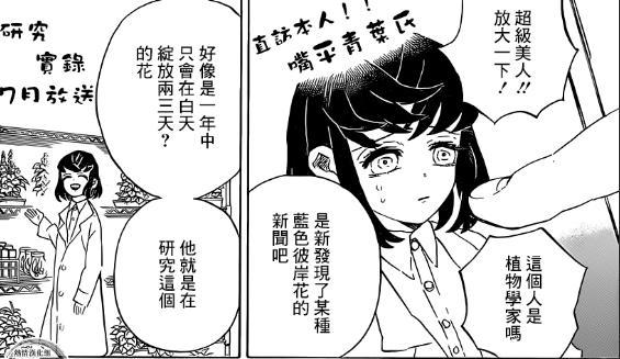 鬼灭之刃蓝色彼岸花真相,鬼灭之刃无惨找的什么花