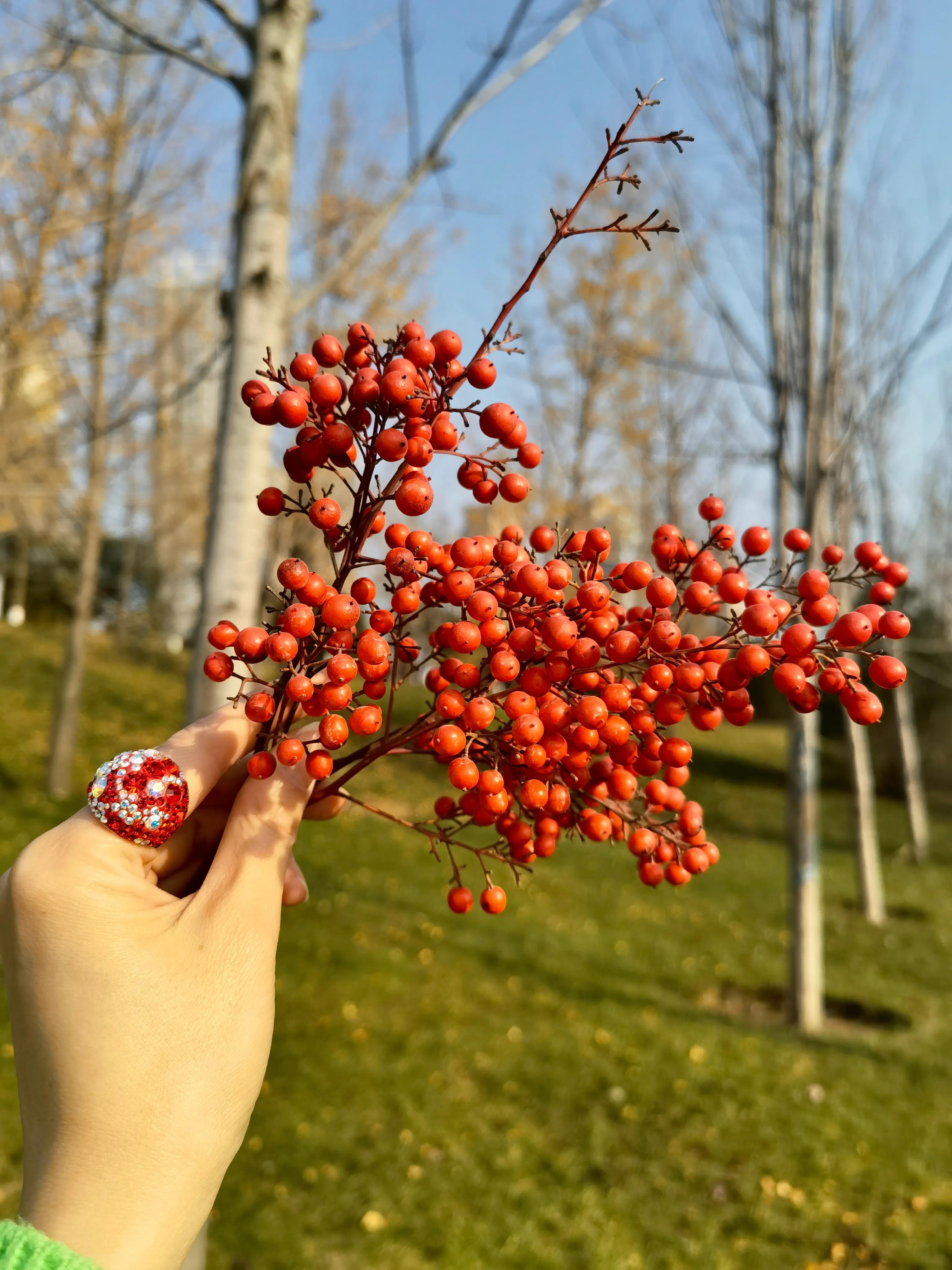 浐灞印象城meland,印象城浐灞分布图