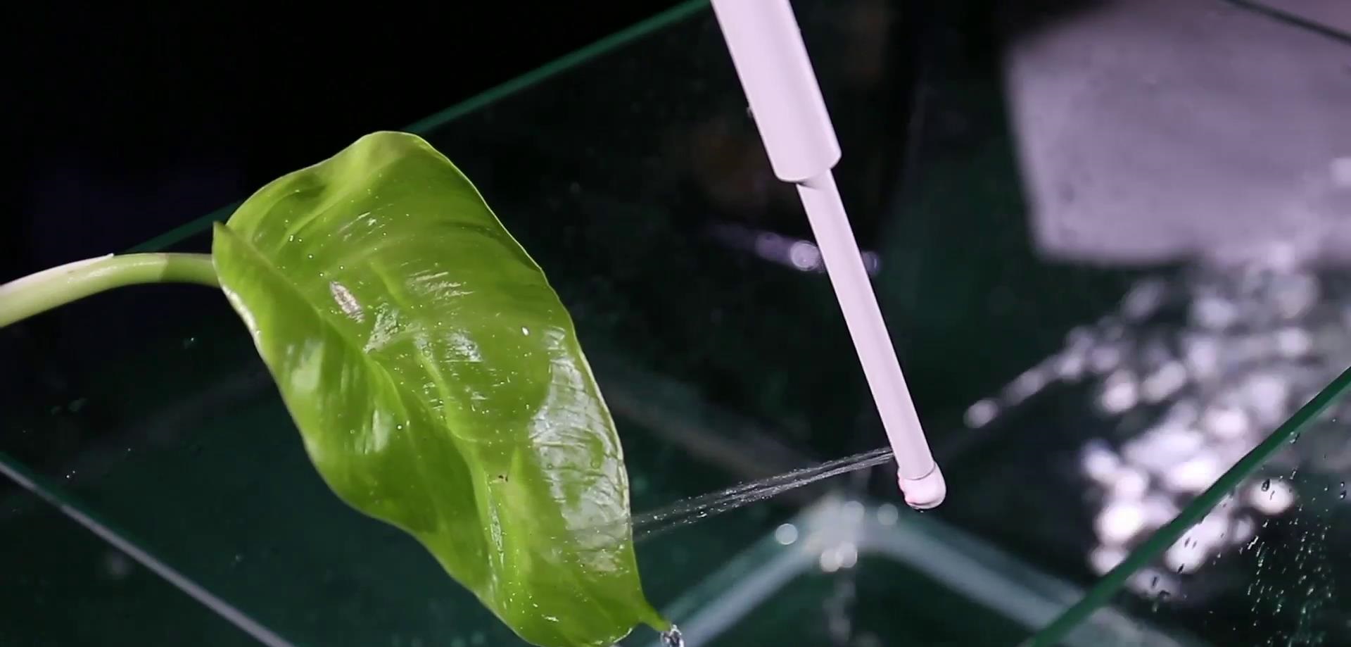 用水洗屁屁会带走水分么,用水洗屁屁有鲜血还有血丝