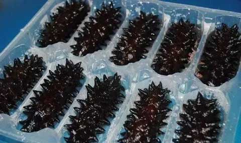 海参真正的有营养吗,海参有假的吗有人工制造的吗