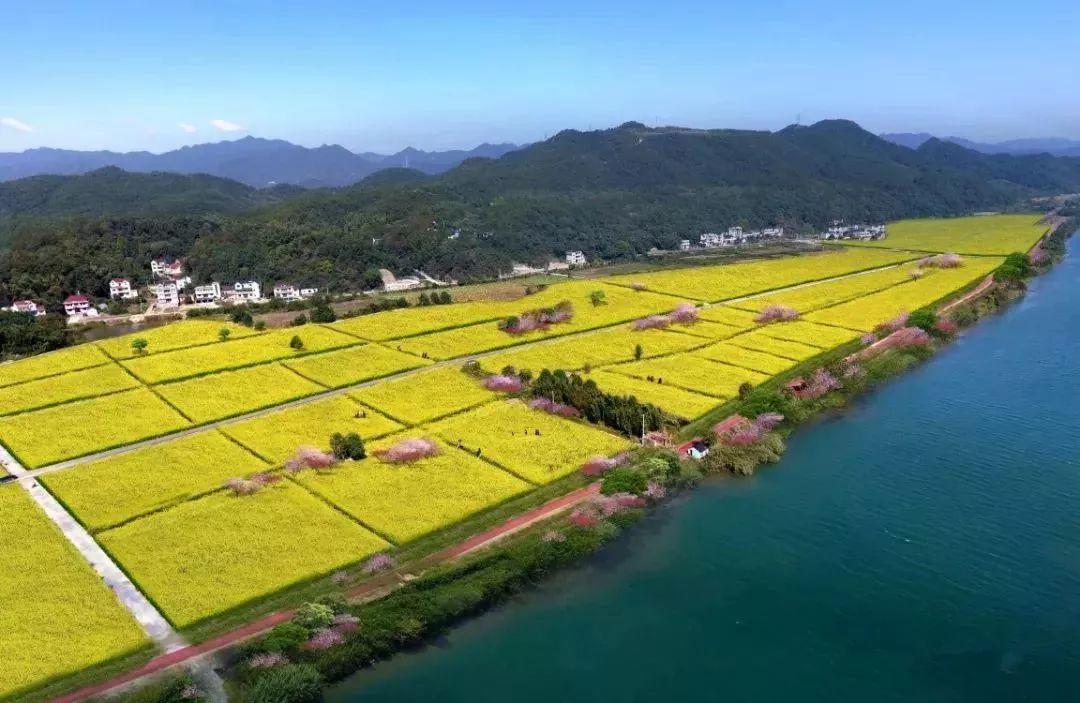 一场穿越千年的汉服旅游,五一旅行指南梦回大唐汉服