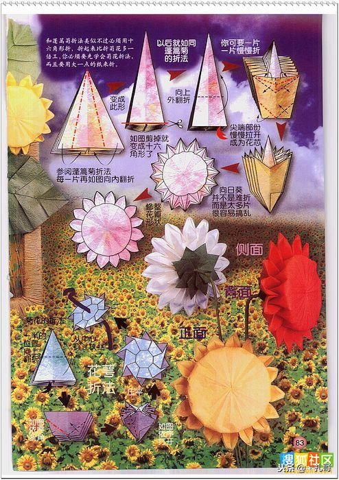 折纸大全方便又漂亮又实用,精致实用的折纸大全步骤
