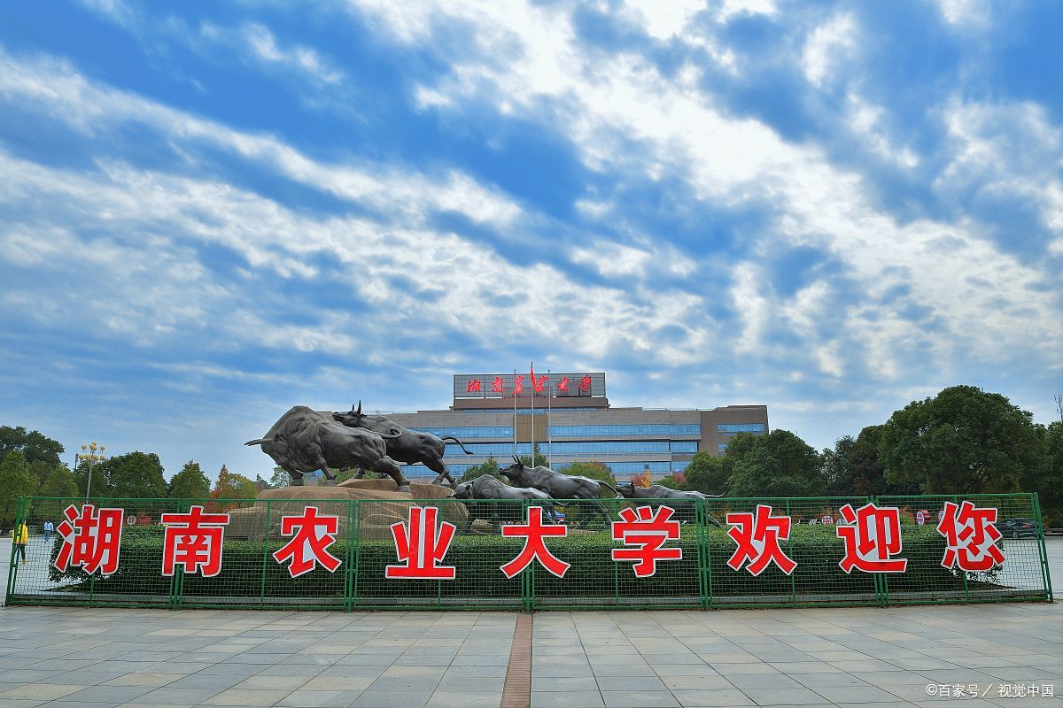 湖南农业大学全国农业排名,湖南农业大学在农业类排名