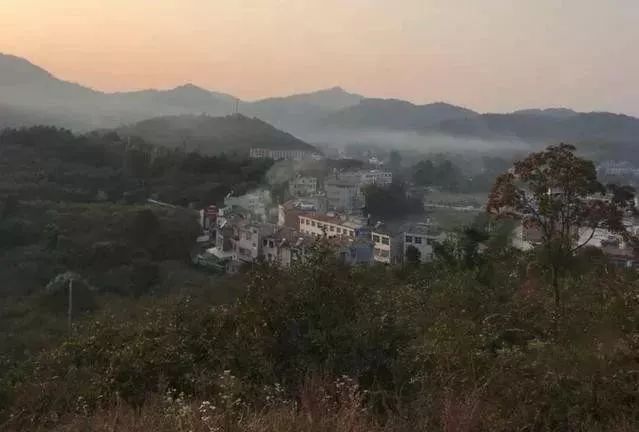 农村人致富门路有哪些,农村养殖种植与三农创业致富项目