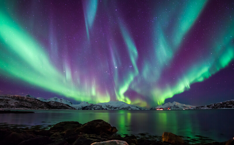 挪威钞票上比鲁迅小一岁的美女作家，因写了一篇小说获得诺贝尔奖