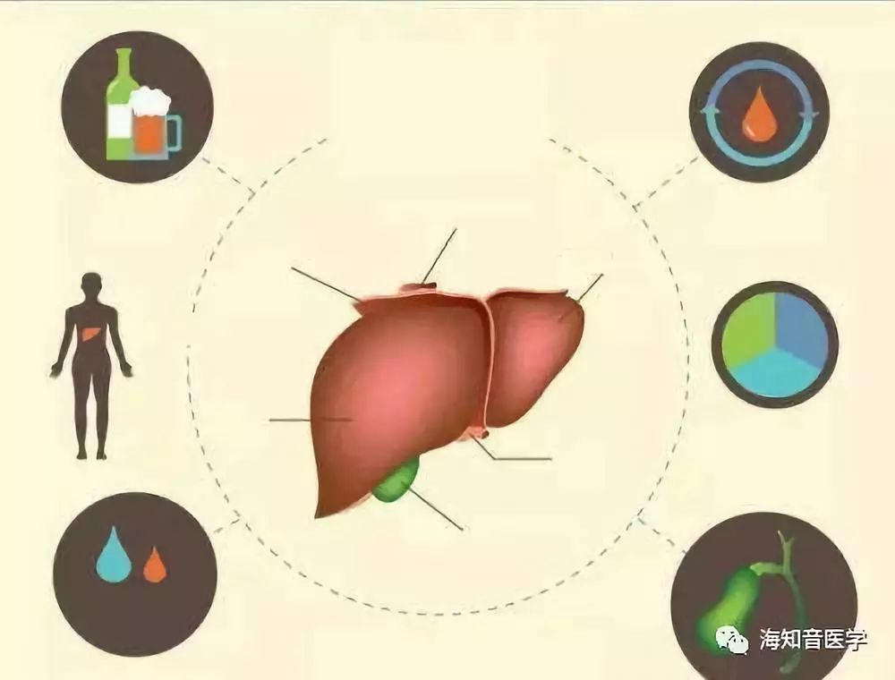 医学检验生化全套图解,常见生化检验项目及正常值