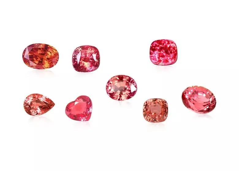 最完美的帕帕拉恰,帕帕拉恰是啥玩意