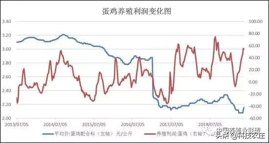 蛋鸡养殖风险大吗,蛋鸡的风险
