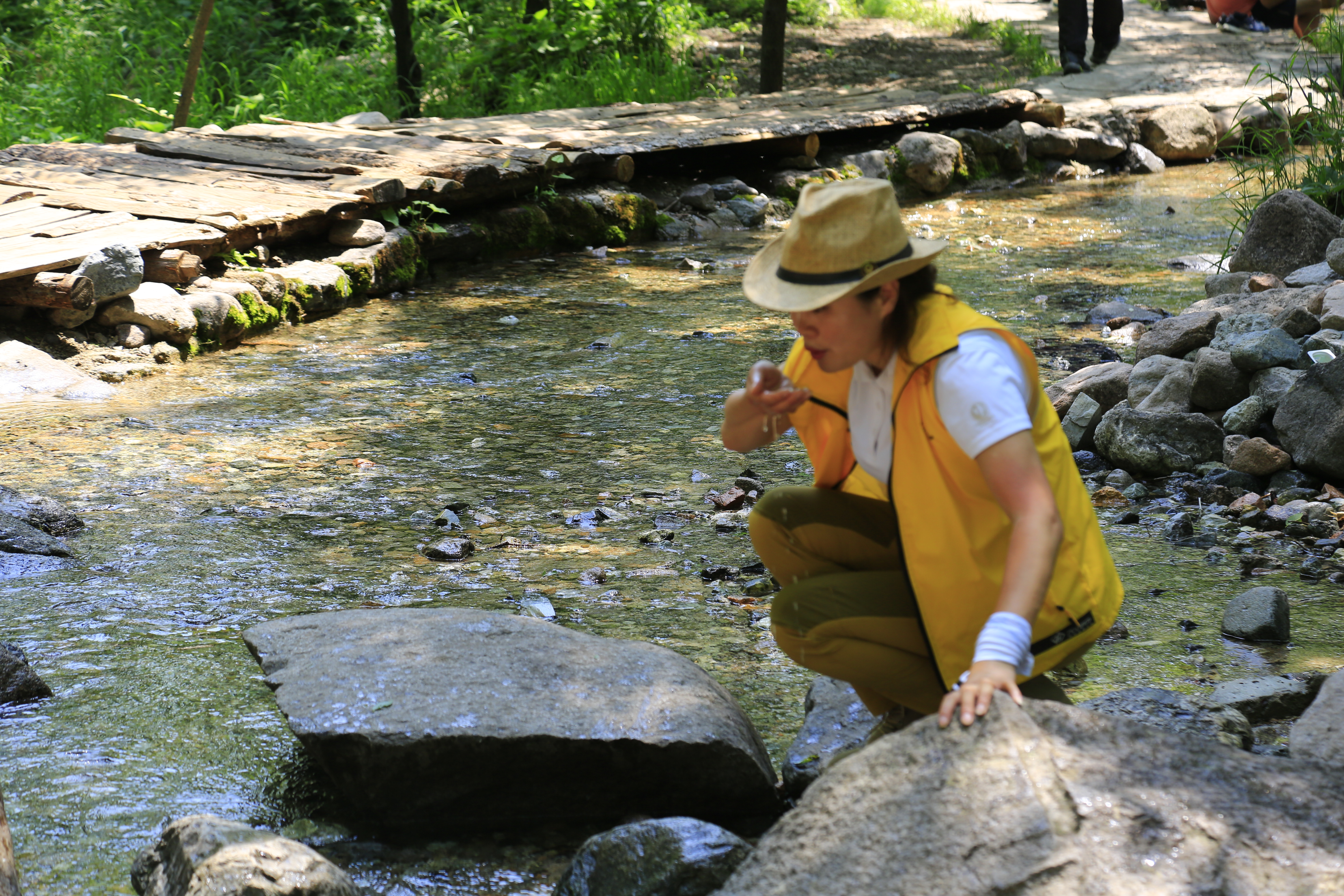 北京延庆周边野游有山有水,北京延庆山顶草甸