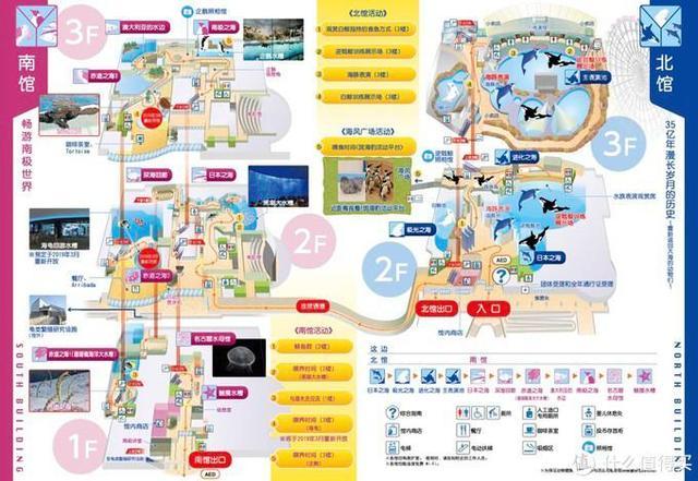 日本pitta口罩,日本买口罩用什么软件