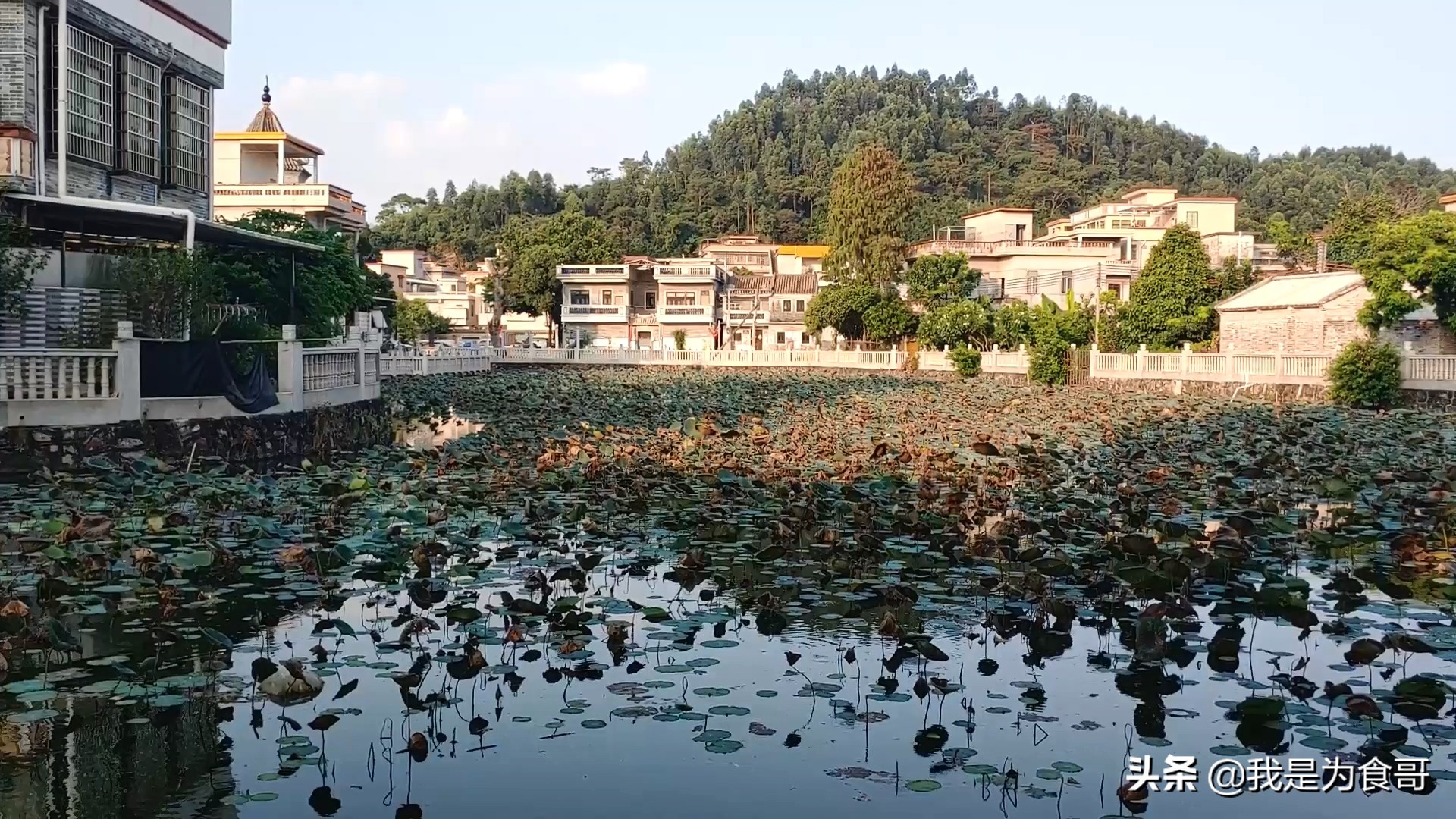 沙湾古镇值不值得去,沙湾古镇好不好