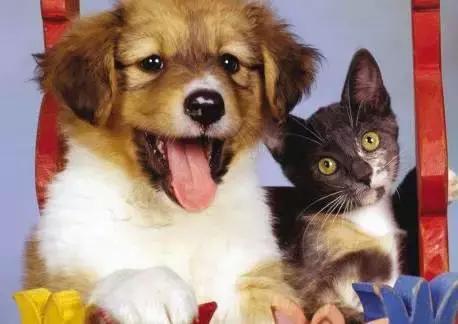 朋友的不同层次的表达,朋友的另外表达方式