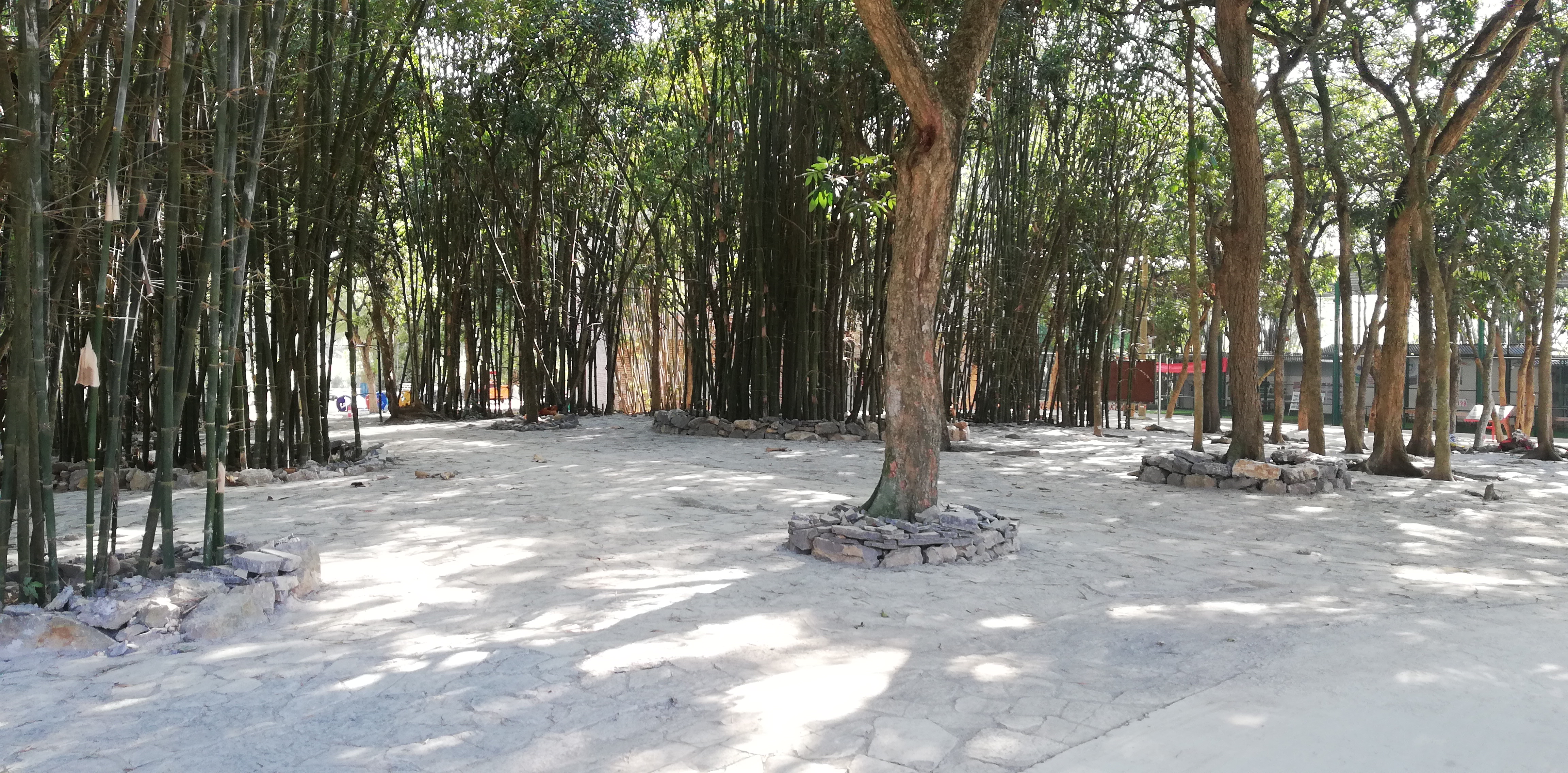 狮环屯未来发展,狮环乡村振兴