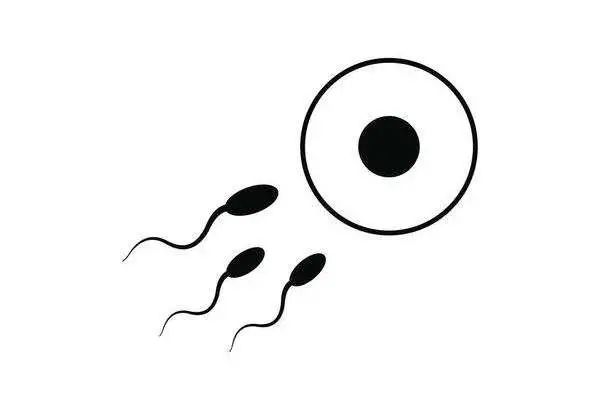 【中原男科联盟微论坛】男性不育症100问·病因篇（二）