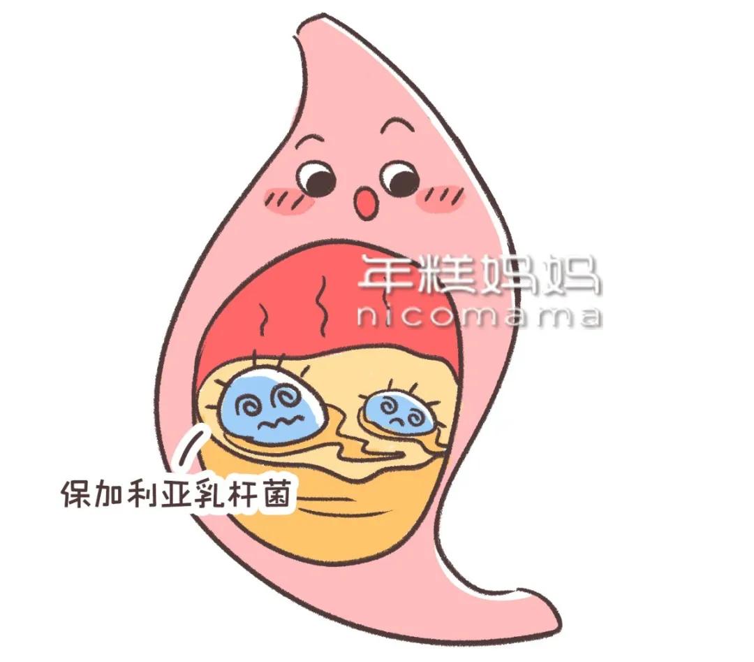 乳酸菌、益生元、益生菌是什么？分清这几点，让你少花冤枉钱