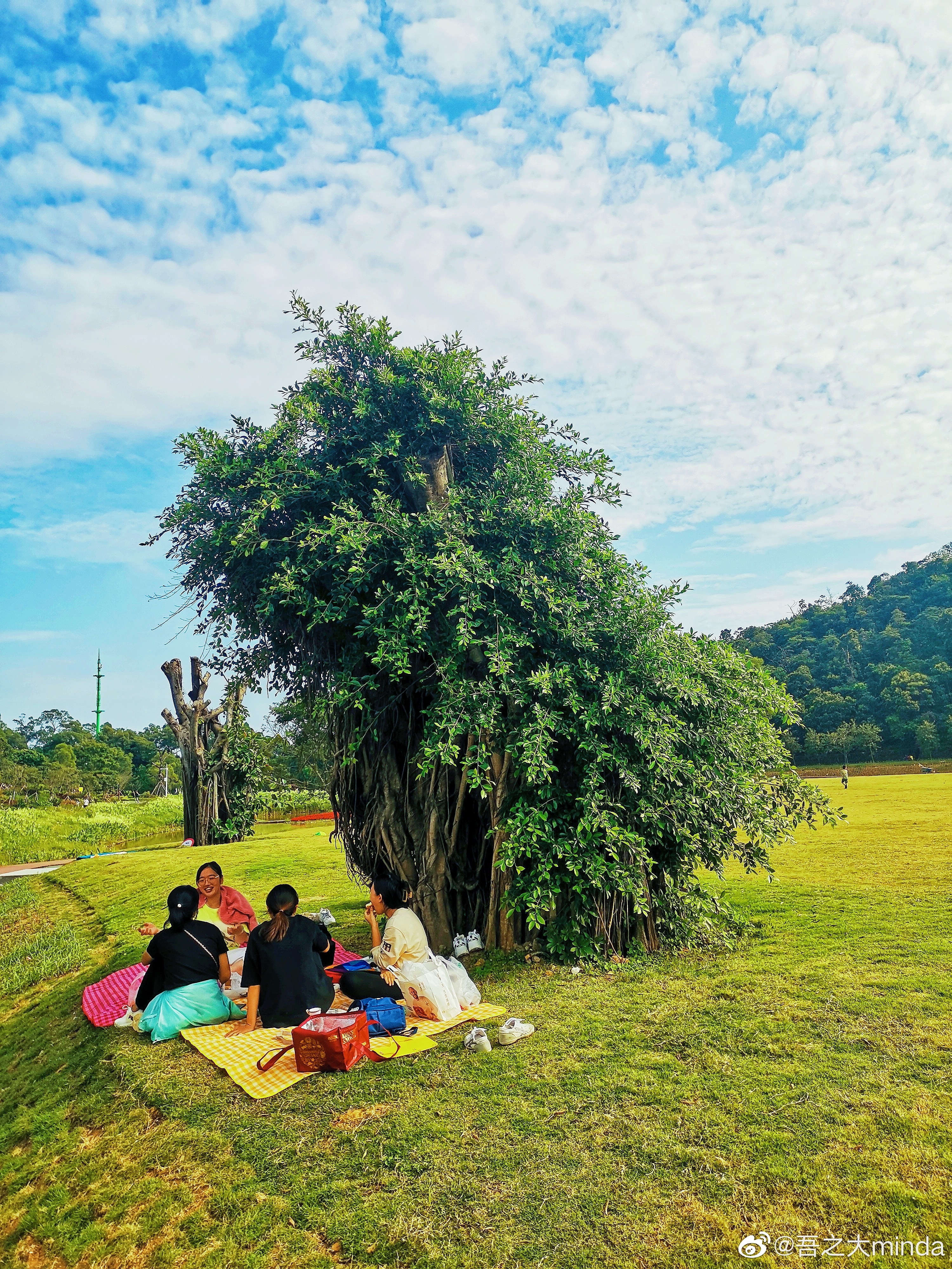 梧桐山下幽径,梧桐山下清风明月