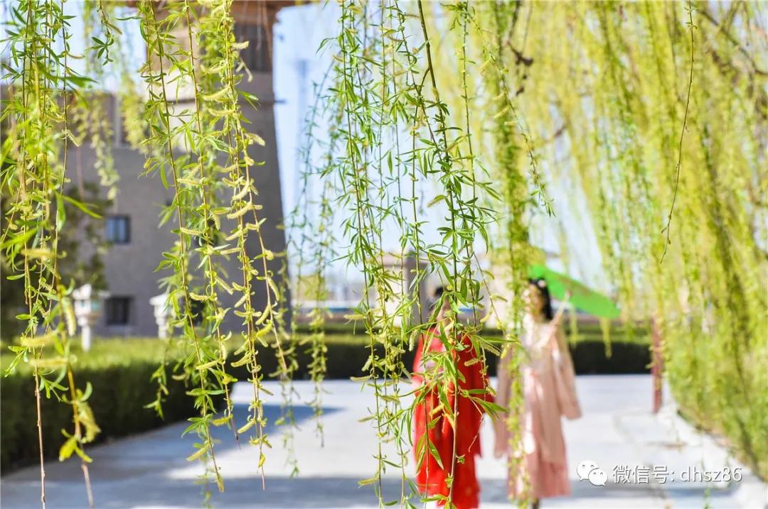 敦煌鸣沙山下百花争艳,甘肃敦煌鸣沙山下杏花枝头春意闹