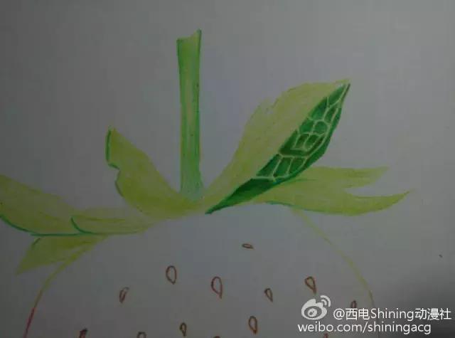 彩铅写实教学草莓,草莓蛋糕用彩铅怎么画