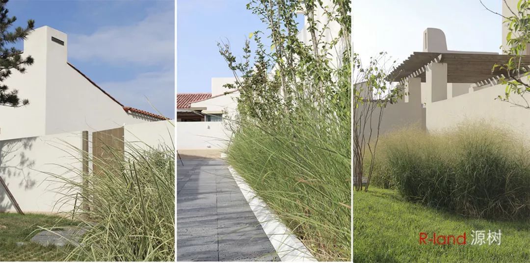 「源树作品」无形中的有形|秦皇岛阿那亚三期景观设计