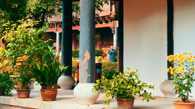 浙江这座5*级A**寺院景区，让我这俗人第一次有了想要“出家”的冲动