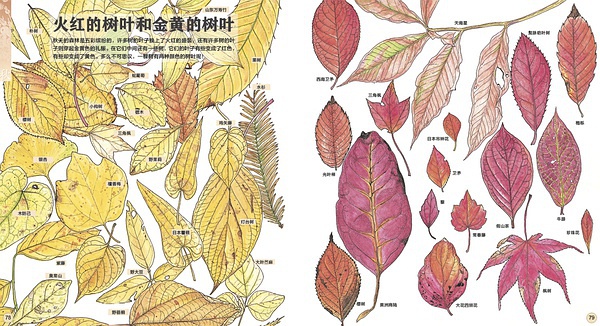 423读书节诚意推荐,423书香节