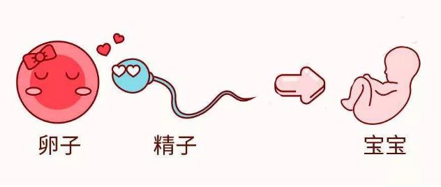 40岁高圆圆官宣怀孕，高龄孕妇到底有多难？