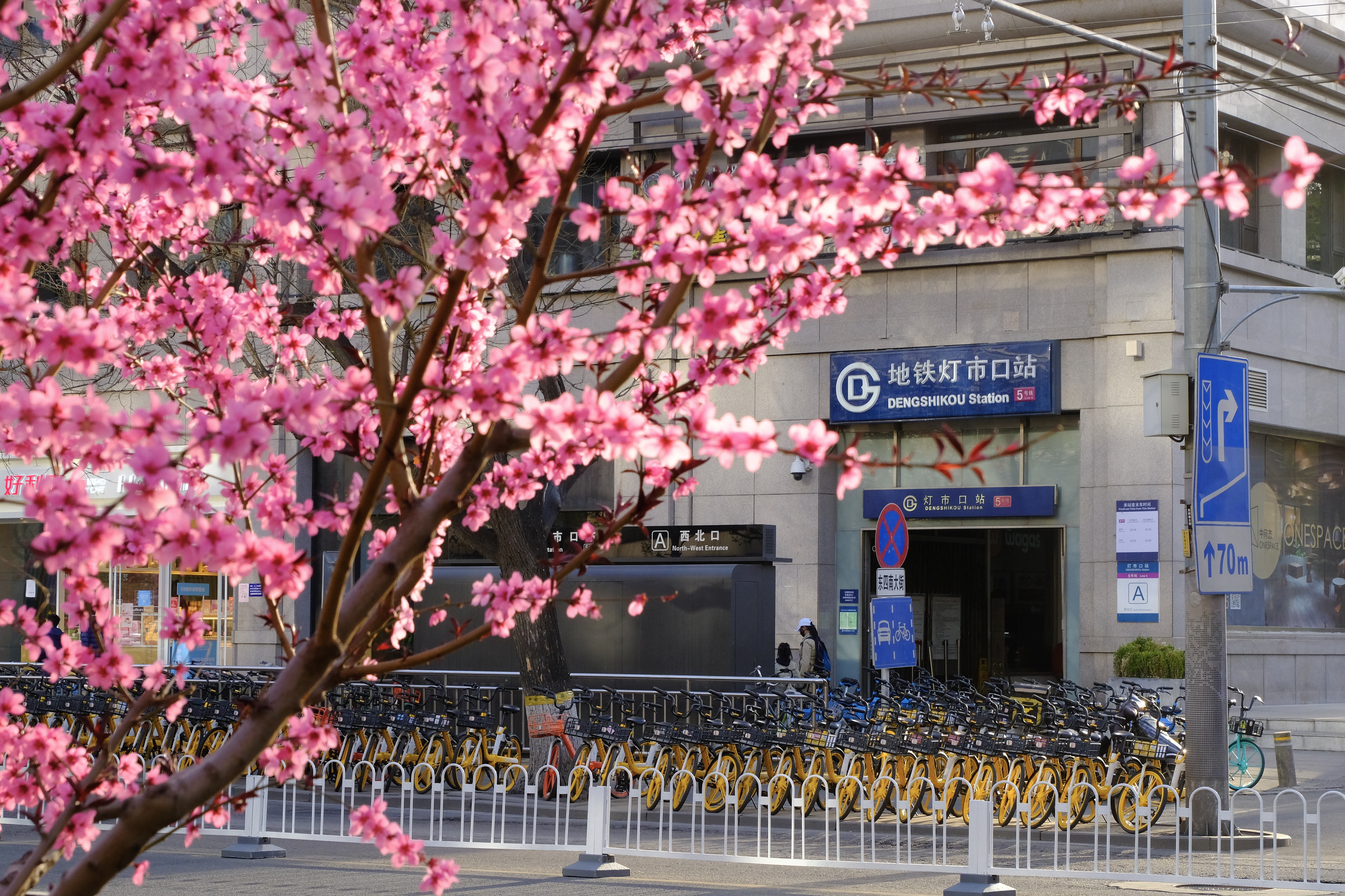 开往地铁上的春天,开往春天的地铁邂逅京城的花开
