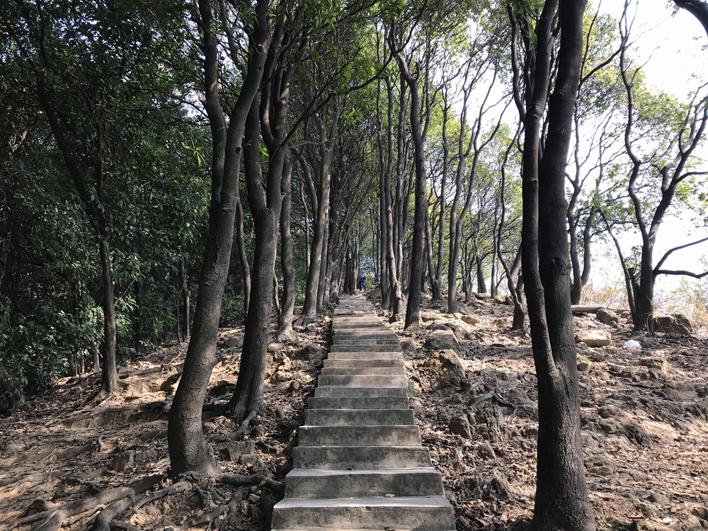 广州白云山风景优美,广州美景打卡白云山