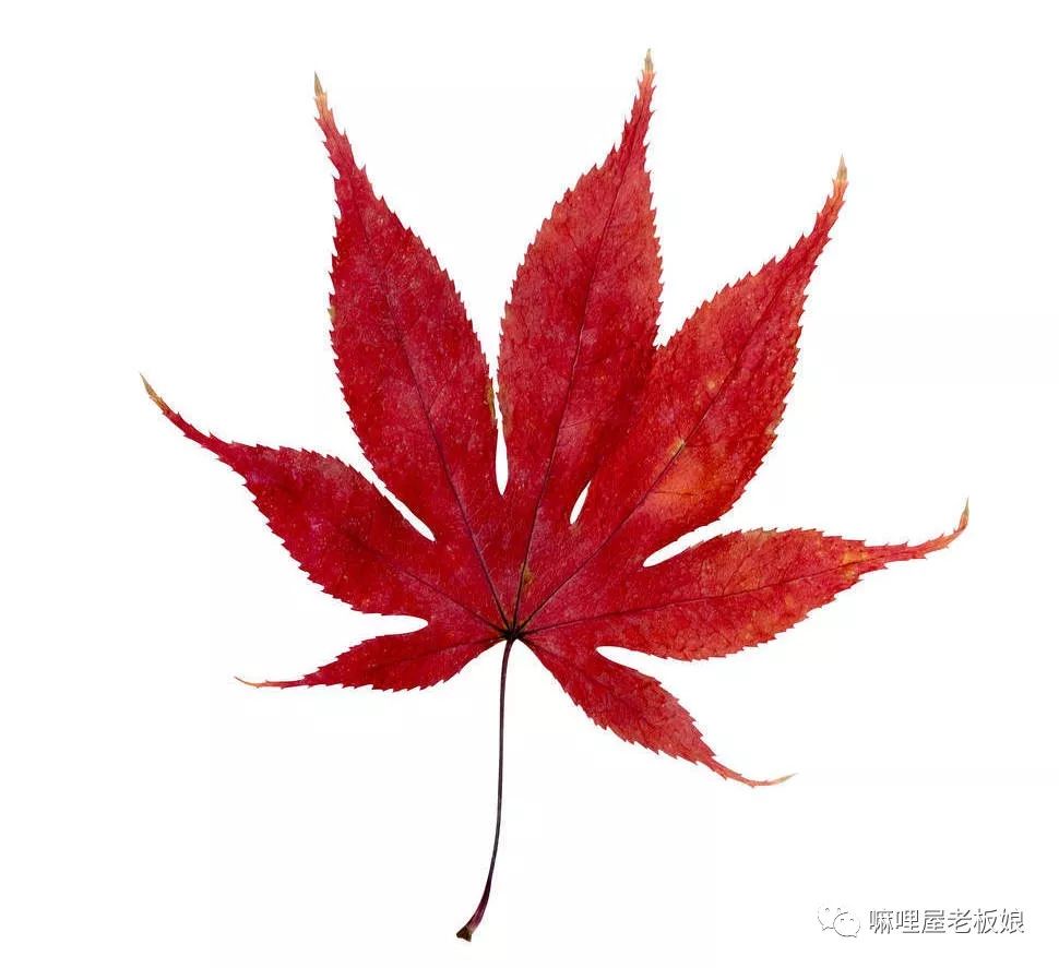 京都和大阪地理位置,京都奈良大阪位置