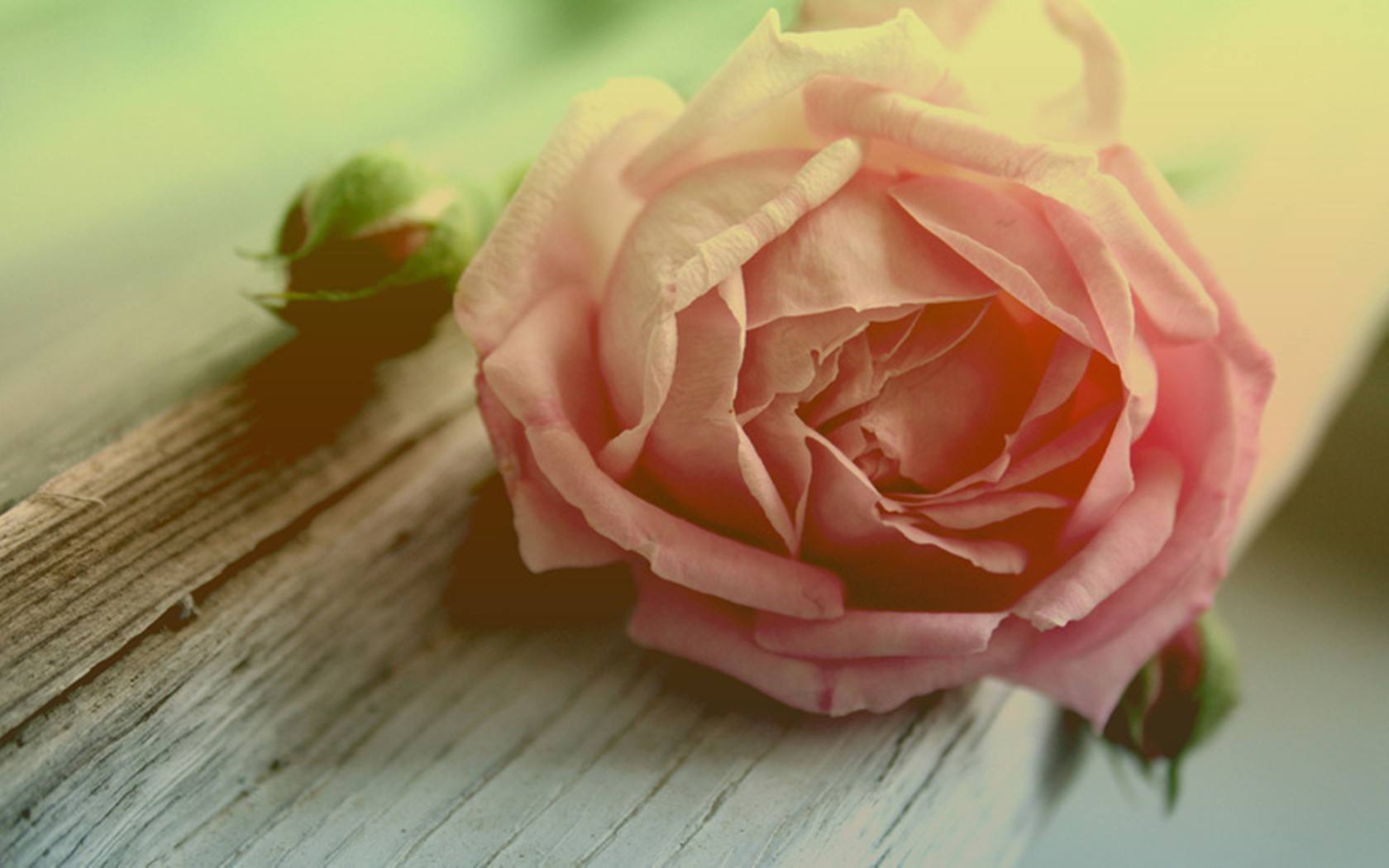 家长不能对孩子说的十句话,家长不能对孩子说的10句话动画