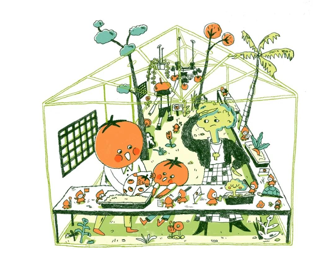 美国纽约视觉艺术学院插画,插画毕业展