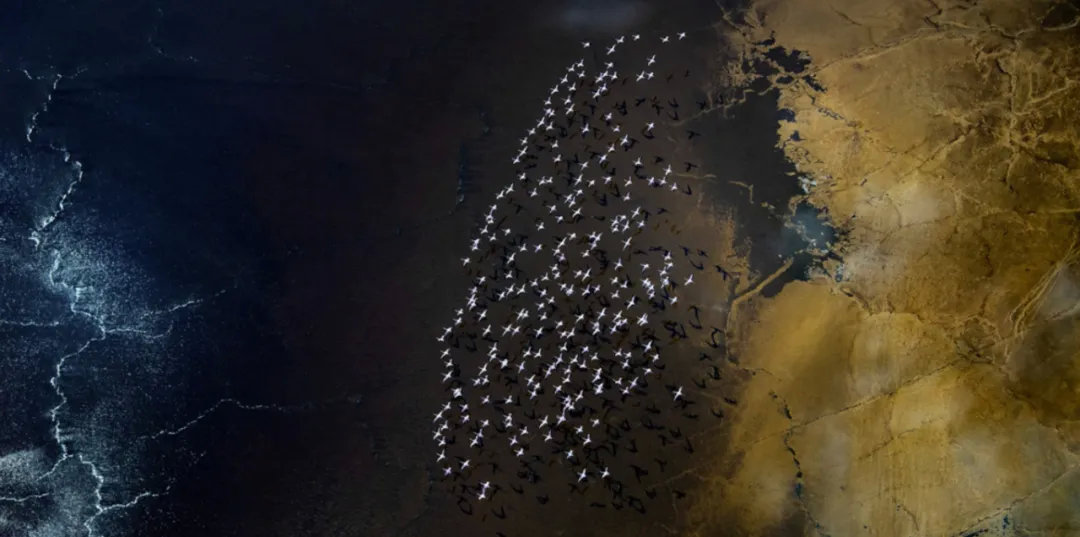 拍照审美图,视觉美学图片