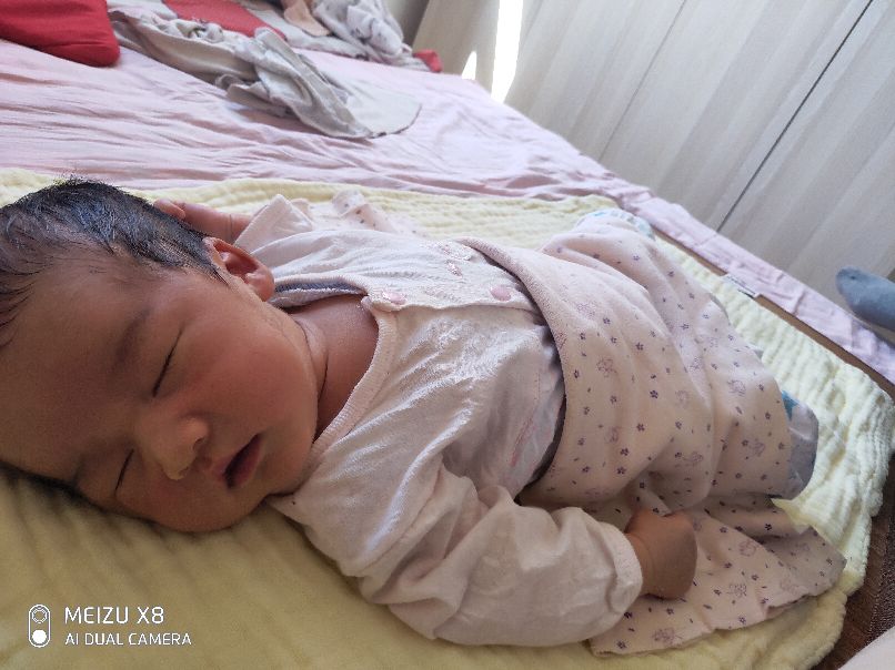 小老虎后来去哪了,小老虎重新戒酒