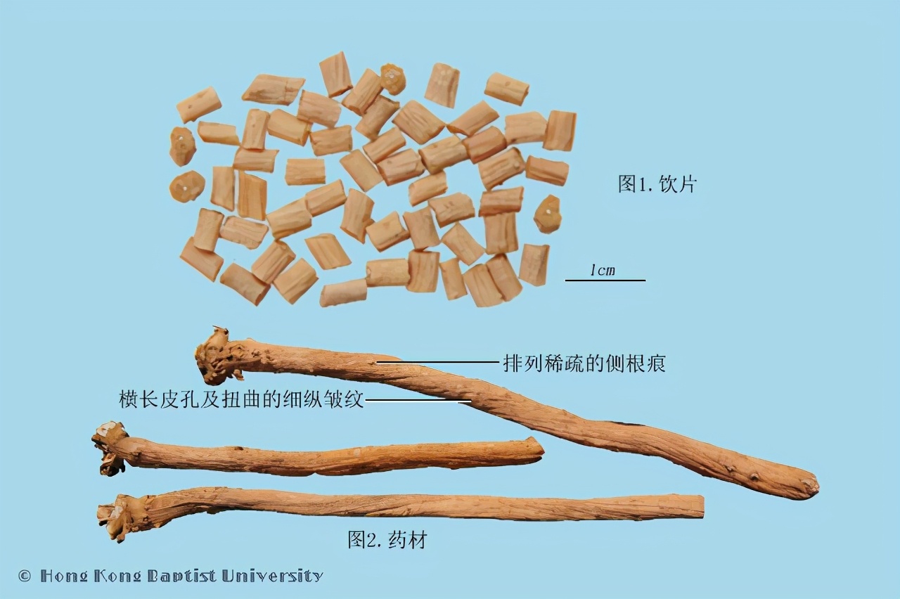 川牛膝与怀牛膝的功效有什么异同,牛膝与川牛膝有什么区别与联系