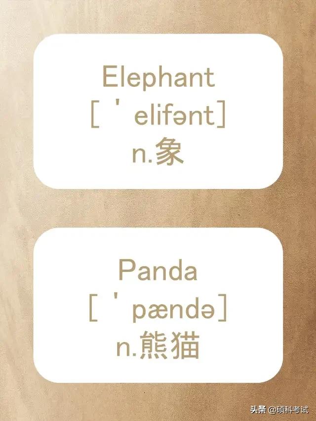 动物的英文拼写及音标,关于动物的单词及音标