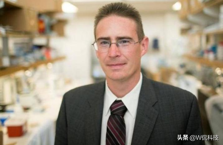 苹果和华为的对比分析报告,华为与苹果的对比分析