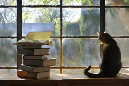 暑假辅导班违法吗,暑假补习班还上吗