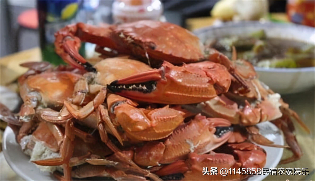 长岛老林渔家,山东长岛渔家乐